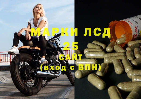 гашик Вязники