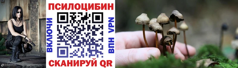 МЕГА ONION Алупка Псилоцибиновые грибы GOLDEN TEACHER